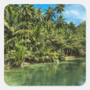 Search for cas stickers Tropical