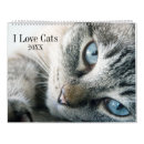 Search for cute kitten calendars Humour