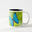 Search for flying butterfly mugs Animals