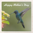 Search for hummingbird barware Flowers