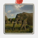 Search for kenya christmas tree decorations African elephant