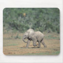 Search for behaviour mousepads Park