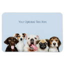 Search for kennel magnets Pets