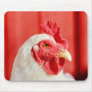 Search for chicken mousepads Animal
