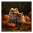 Search for pomeranian puppy posters Pet