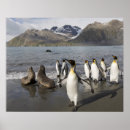Search for antarctic ocean posters Nature