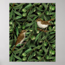 Search for olive tree posters Olives