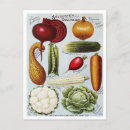 Search for seeds illustrations postcards Vegetable