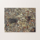 Search for natural stone puzzles Photography