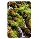 Search for under water magnets Outdoors