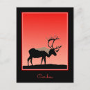 Search for caribe postcards Caribou
