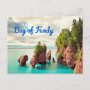 Search for bay of fundy postcards Hopewell rocks