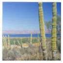 Search for baja tiles Blue