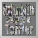 Search for staffordshire bull terrier posters Pet