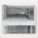 Search for frog dissection French