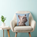 Search for french bulldog puppy cushions Purebred dog