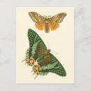 Search for bordered postcards Nature