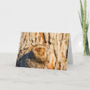 Search for danita delimont cards Illinois