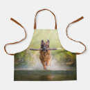 Search for stick aprons Cute