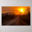 Search for riding bikes art Sunset