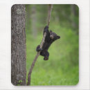 Search for americanus mousepads Black bear