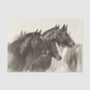 Search for horse tissue paper Mustang
