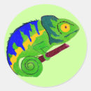 Search for funny chameleon stickers Humour