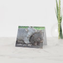 Search for wombat cards Cute