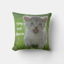 Search for tiny cushions Cute