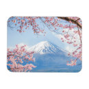 Search for cherry blossoms magnets Snow