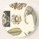 Search for animals coasters Elephant