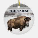 Search for wyoming christmas tree decorations Outdoors