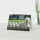 Search for westie mom cards Cute