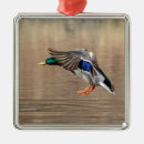 Search for mallard duck christmas tree decorations Water