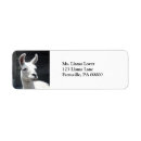 Search for farm animal return address labels Fun