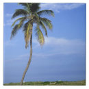 Search for beach scene tiles Nature