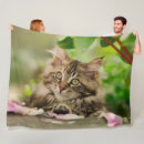 Search for cute kittens blankets For her