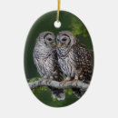 Search for barred owl christmas tree decorations Strix varia