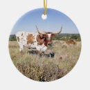 Search for texas longhorn christmas tree decorations America