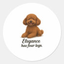 Search for toy poodle stickers Puppy