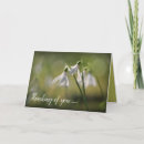 Search for snowdrop cards Springtime