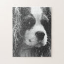 Search for spaniel puzzles Puppies