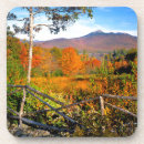 Search for new hampshire coasters Jaynes gallery