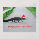 Search for merry christmas from florida postcards Funny