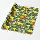 Search for orange fruit wrapping paper Stylish