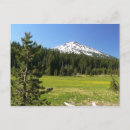Search for fir postcards Snow