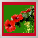 Search for full bloom Garden
