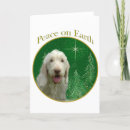 Search for italiano cards Dog