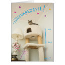 Search for daredevils Cat