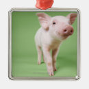 Search for studio christmas tree decorations Nature